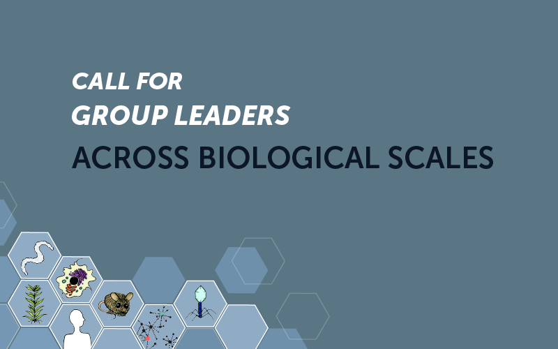 Position as Group Leader across Biological scales: Experiment