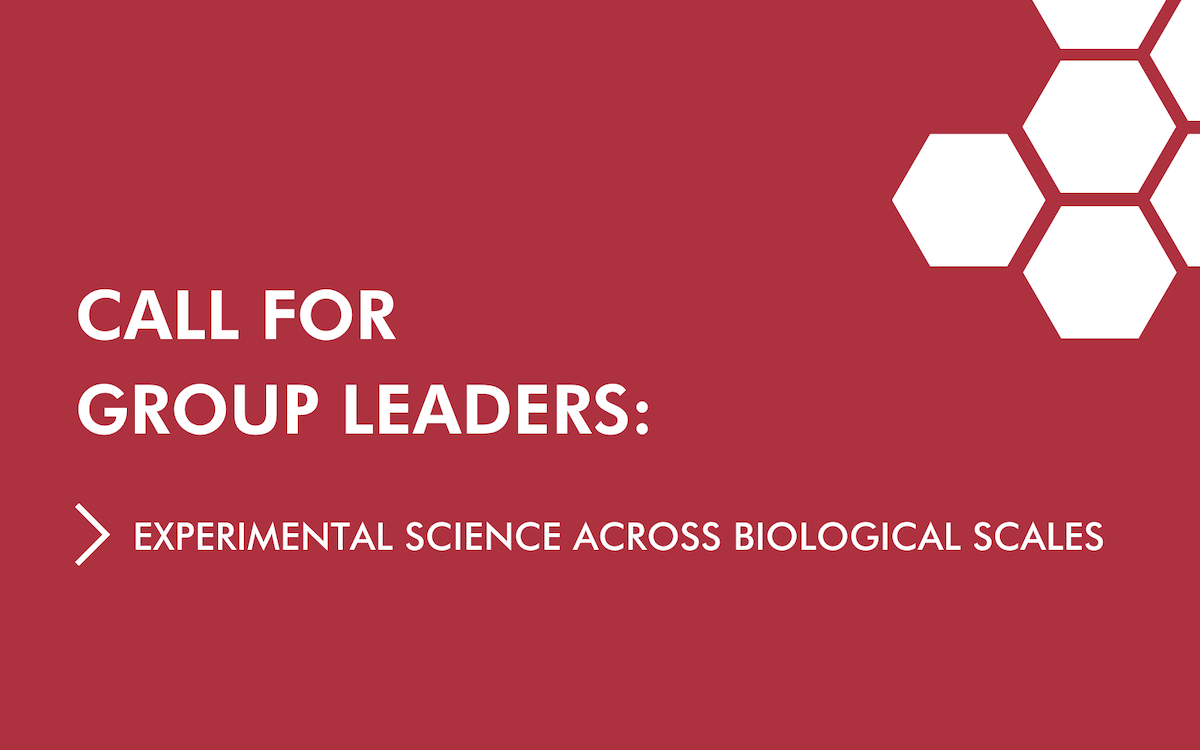 Group Leader across Biological Scales: Experimental Science