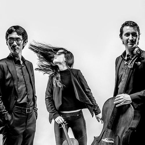 Amatis Trio